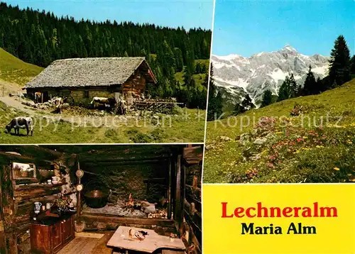 Maria Alm Steinernen Meer Lechneralm Kat. Maria Alm am Steinernen Meer