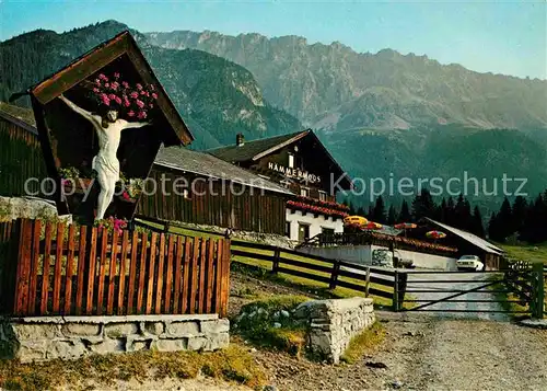 Leutasch Haemmermoosalm im Gaistal gegen Teufelsgrat Wettersteingebirge Kat. Leutasch Tirol