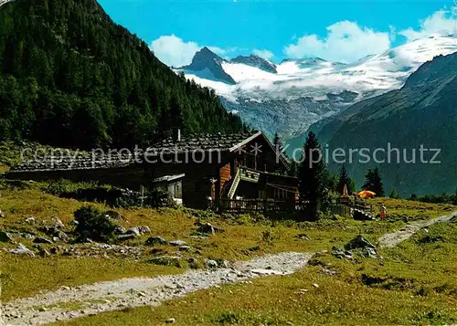 Mittersill Oberpinzgau Alpengasthof Enzian Kat. Mittersill