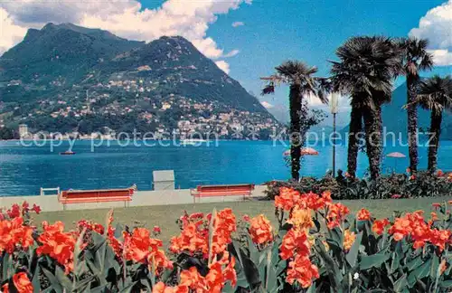 Paradiso Lago di Lugano mit Monte Bre Kat. Paradiso