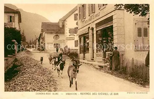 Chamonix Teilansicht mit Ziegen Kat. Chamonix Mont Blanc