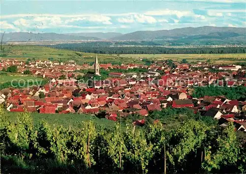 Ihringen Kaiserstuhl Panorama Kat. Ihringen