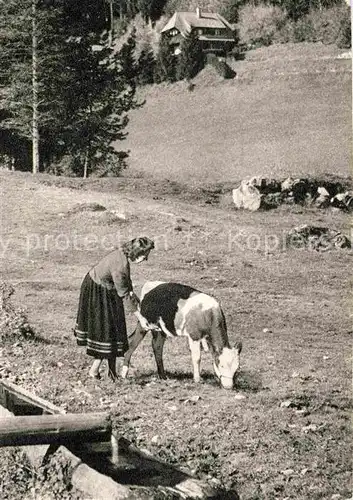 Hinterzarten Viehtraenke Weg zum Mathisleweiher Kat. Hinterzarten