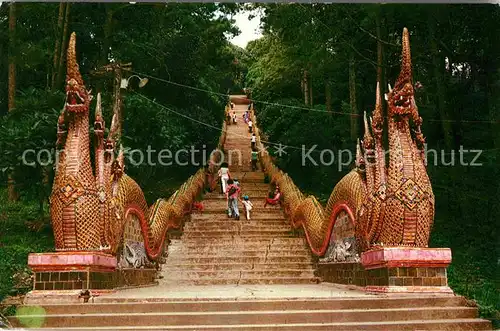Chiengmai Doi Suthep Dragon Staircase 
