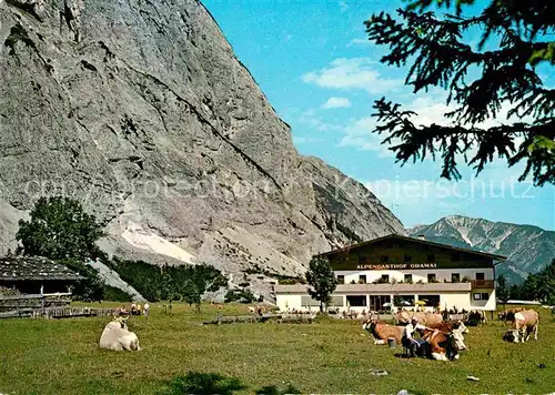 Pertisau Achensee Alpengasthof Gramai Karwendel Viehweide Kat. Eben am Achensee