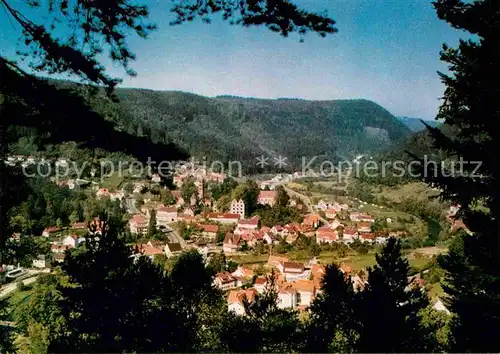 Hirsau Panorama Kat. Calw