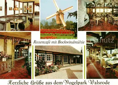 Walsrode Lueneburger Heide Vogelspark Rosencafe Bockwindmuehle Kat. Walsrode