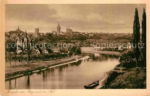 Wimpfen Panorama Neckar Kat. Bad Wimpfen