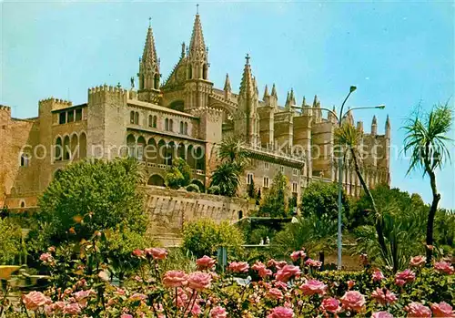 Palma de Mallorca La Cathedral Kat. Palma de Mallorca