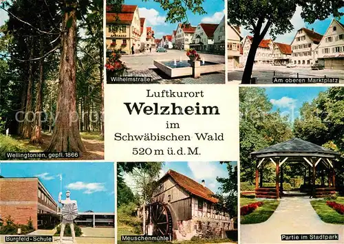 Welzheim Wellingtonien Marktplatz Burgfeld Schule Meuschenmuehle Kat. Welzheim