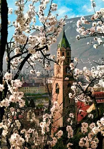 Merano Suedtirol Fruehlingsbluete Kirche Kat. Merano