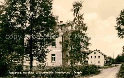 Hirschsprung Ferienheim Waldhaus Ladenhuette Kat. Altenberg