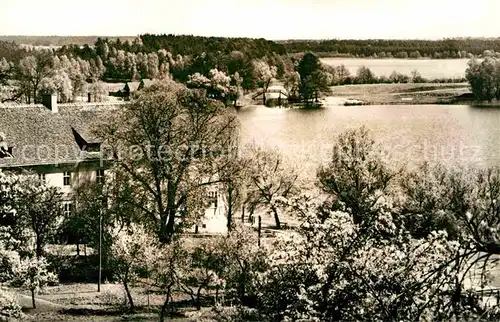 Flecken Zechlin Blick ueber den Schwarzen zm Grossen Zechliner See Kat. Rheinsberg