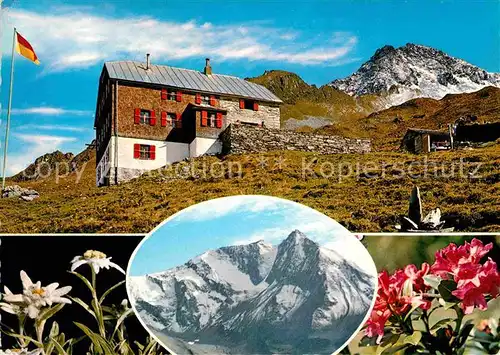 Mayrhofen Zillertal Edelhuette mit Ahornspitze Zillertaler Alpen Edelweiss Alpenflora Kat. Mayrhofen