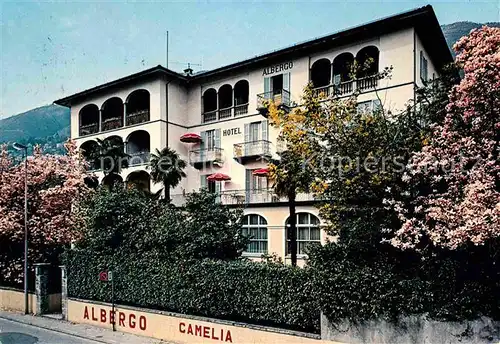 Muralto Lago Maggiore Hotel Carmelia