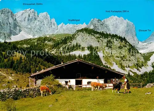 Ellmau Tirol Wochenbrunneralm Kaisergebirge Almvieh Kuehe Kat. Ellmau