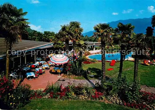 Locarno Lago Maggiore Hotel Losone Swimming Pool Palmen