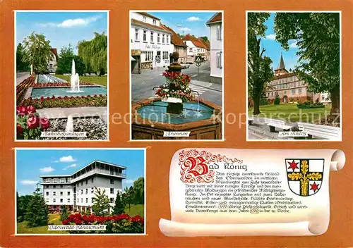 Bad Koenig Odenwald Bahnhofsanlagen Brunnen Schloss Odenwald Sanatorium Kat. Bad Koenig