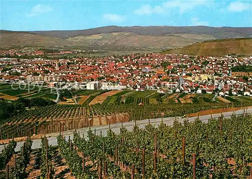 Beutelsbach Weinstadt Panorama Kat. Weinstadt