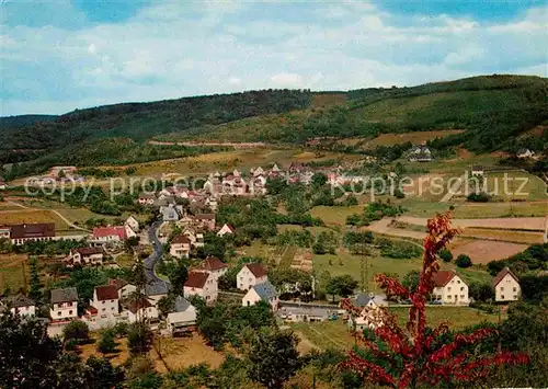 Hasenfeld Panorama  Kat. Heimbach