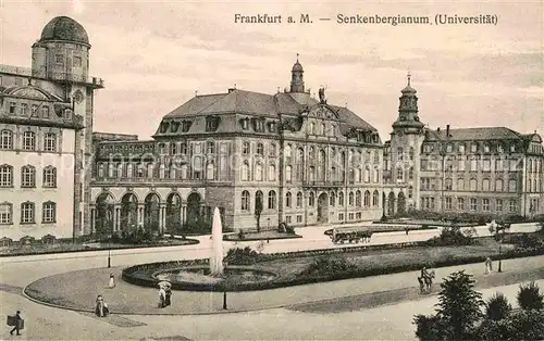 Frankfurt Main Senkenbergianum Universitaet Kat. Frankfurt am Main