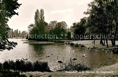 Hoechst Main Stadtpark Kat. Frankfurt am Main