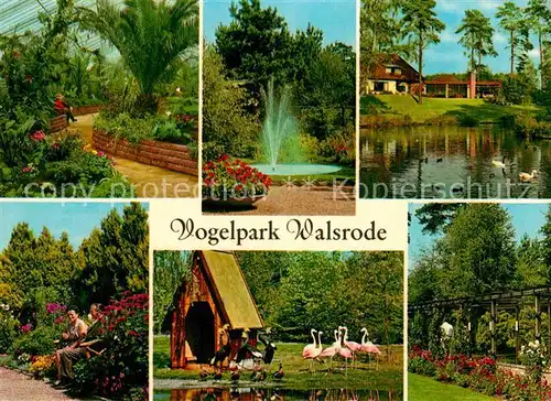 Walsrode Lueneburger Heide Vogelpark Flamingos  Kat. Walsrode