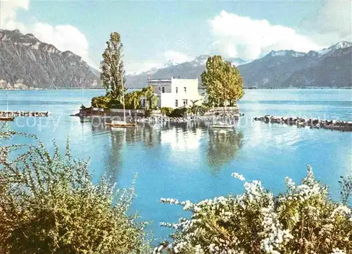 Lac Leman Genfersee Ile de Salagnon Kat. Genf