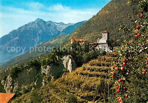 Meran Merano Schloss Tirol mit Texelgruppe