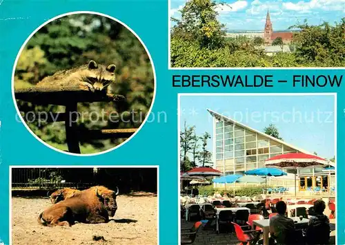 Eberswalde Finow Tierpark Kat. Eberswalde Waldstadt