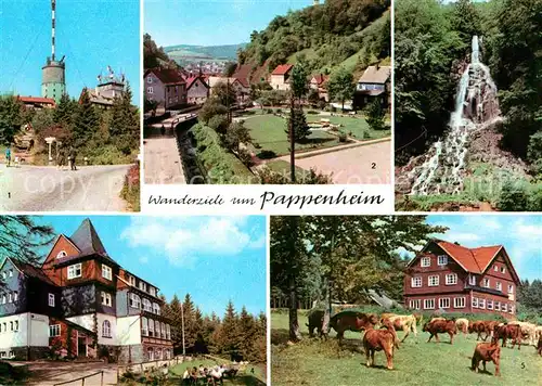 Pappenheim Thueringen Wanderziele Grosser Inselsberg Trusetaler Wasserfall Spiessberhaus Hotel Ebertswiese Kat. Floh Seligenthal