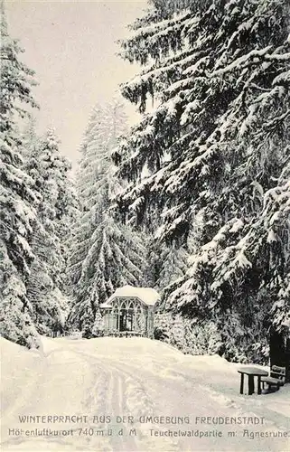 Freudenstadt Teuchwaldpartie mit Agnesruhe im Winter Kat. Freudenstadt