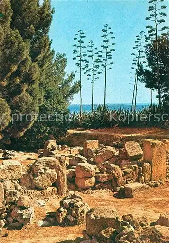 Mozia Archaelogiycal Area