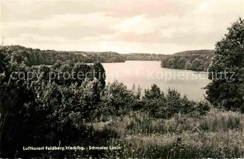 Feldberg Mecklenburg Schmaler Luzin See Feldberger Seenlandschaft Kat. Feldberger Seenlandschaft