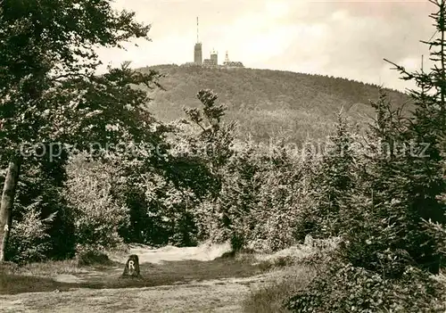 Grosser Inselsberg Waldpartie Kat. Brotterode