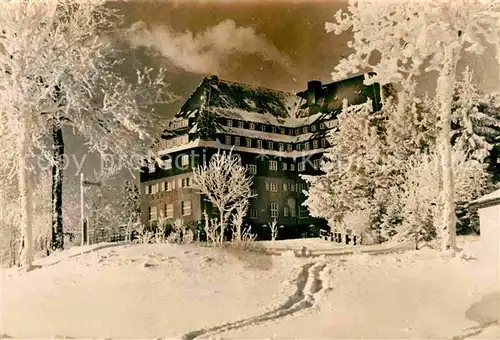 Altenberg Erzgebirge Sanatorium Raupennest Winterimpressionen Kat. Geising