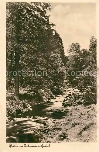 Rabenauer Grund Waldpartie am Bach