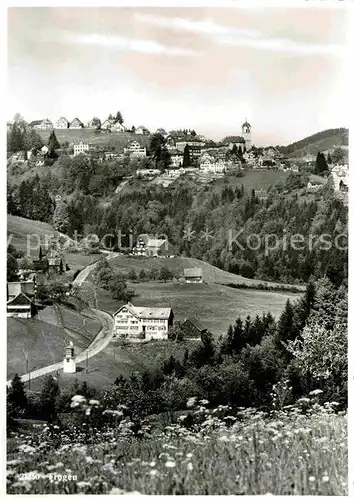 Trogen AR Panorama Kat. Trogen