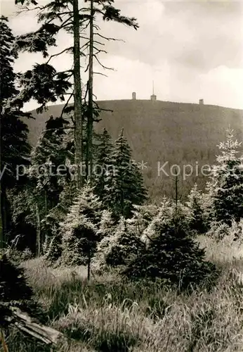 Wernigerode Harz Blick zum Brocken Kat. Wernigerode