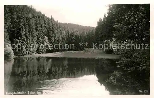 Stuetzerbach Knoepfelstaler Teich im Schortetal Thueringer Wald Kat. Stuetzerbach