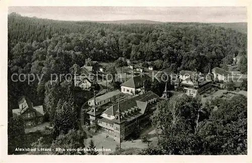 Alexisbad Harz Panorama Blick vom Birkenhaeuschen Kat. Harzgerode