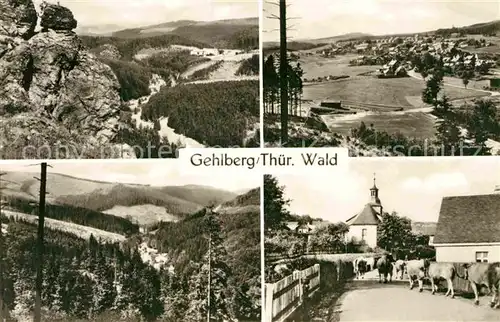 Gehlberg Teilansichten Landschaftspanorama Felsen Viehaustrieb Kuehe Kat. Gehlberg