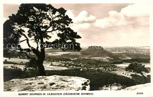 Gohrisch Panorama mit Lilienstein Tafelberg Elbsandsteingebirge Kat. Gohrisch