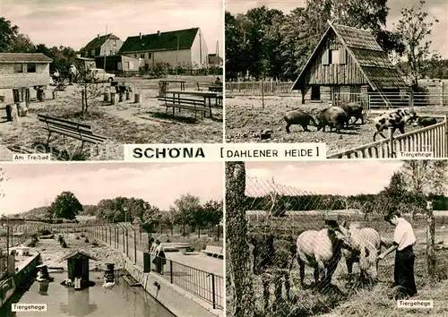 Schoena Soernewitz Freibad Tiergehege Dahlener Heide
