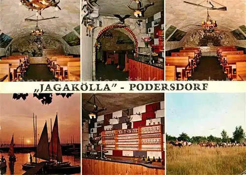 Podersdorf Neusiedler See Jagakoella Gastraum Bar Bootshafen Reiten
