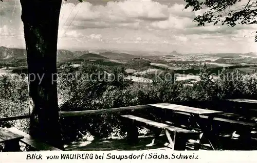 Saupsdorf Wachberg Panorama Kat. Kirnitzschtal