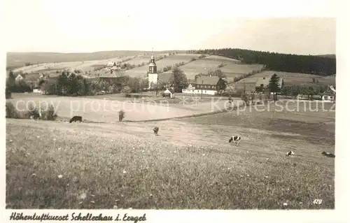 Schellerhau Panorama Kat. Altenberg