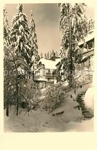 Waldbaerenburg Winterlandschaft Hotel Pension Alexanderhaus Kat. Altenberg