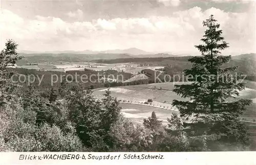 Saupsdorf Wachberg Panorama Kat. Kirnitzschtal