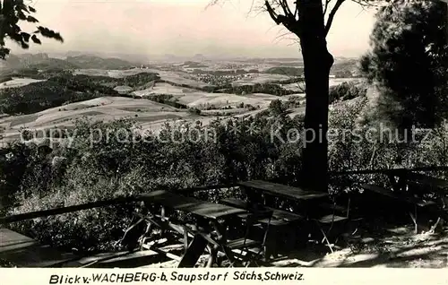 Saupsdorf Wachberg Kat. Kirnitzschtal